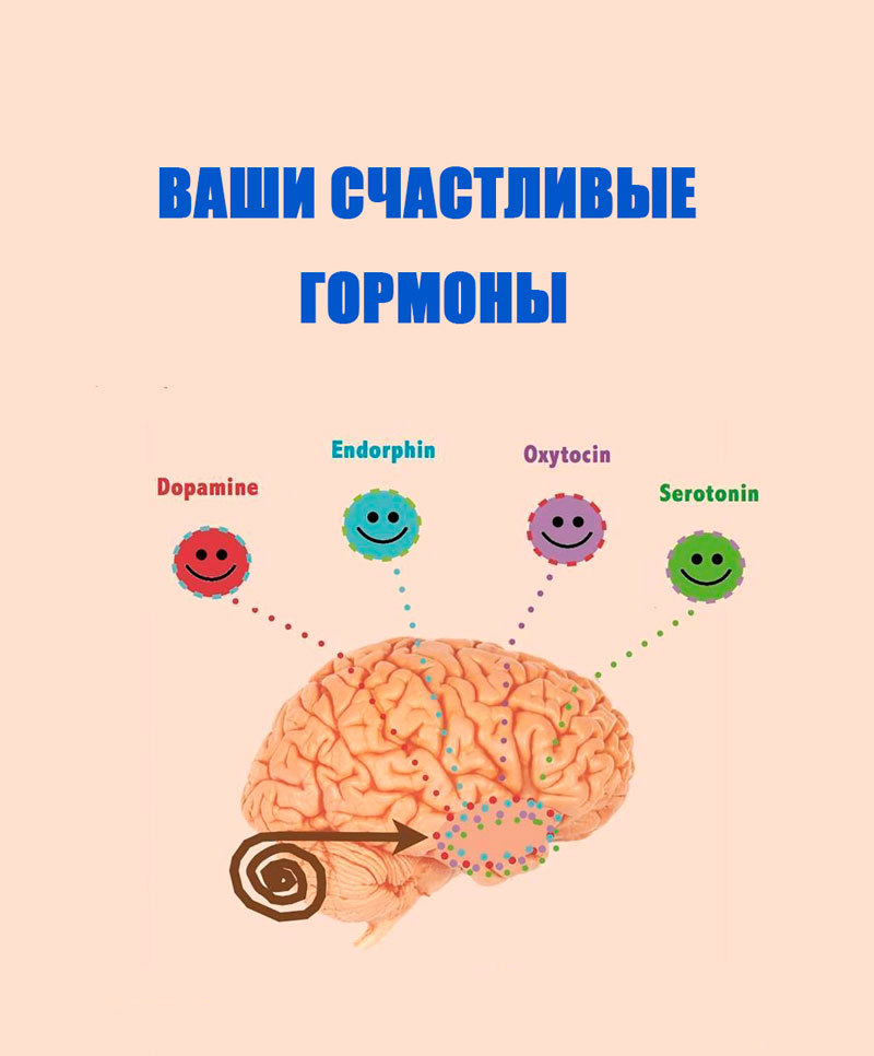 content_Hormones-of-happiness5.jpg