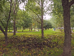 photostudio_1565960719917.jpg