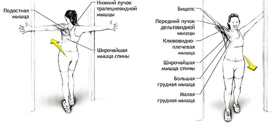Uprazhneniya_dlya_rastyazhki_ruk_i_plechevogo_poyasa_3.jpg