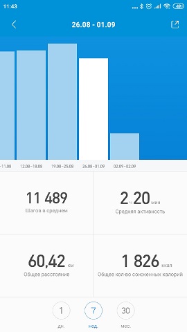 отчет.jpg