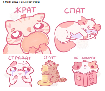 котики.png