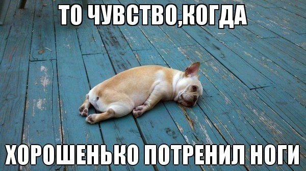 2wlsdK48tHk.jpg