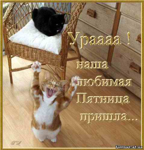 пятница.jpg