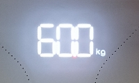 60.jpg