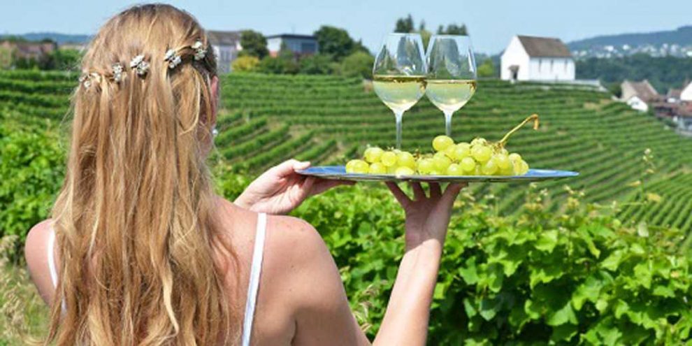 vino-muni-990x495.jpg