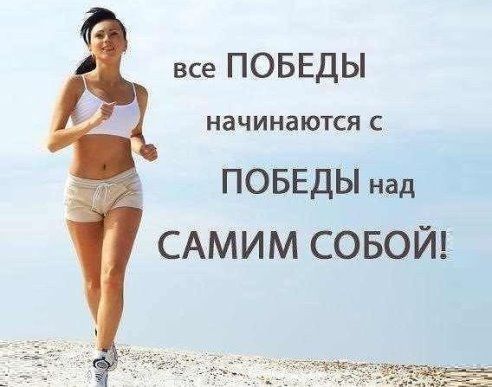 4980c40a9d25ab2451d7bd11dc3c93b3.jpg