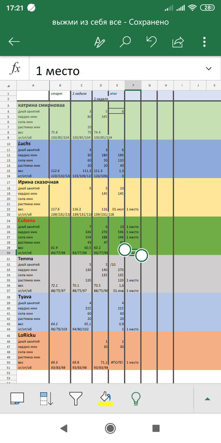 Screenshot_2019-10-30-17-21-14-954_com.microsoft.office.excel.png