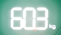 60.3.jpg