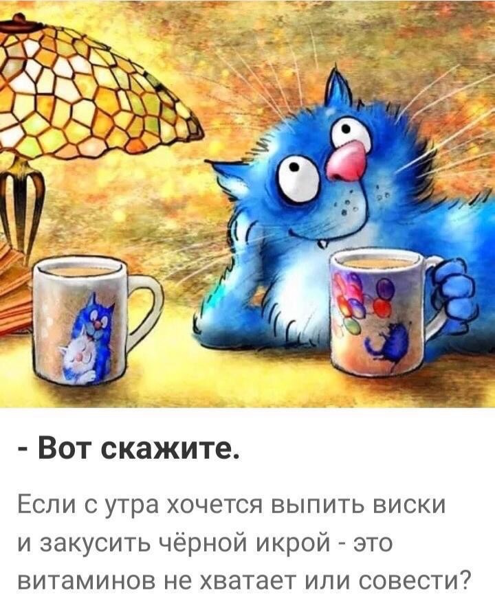 CB0C1438-7B55-4EAB-B1D6-0B82C48C87D6.jpeg