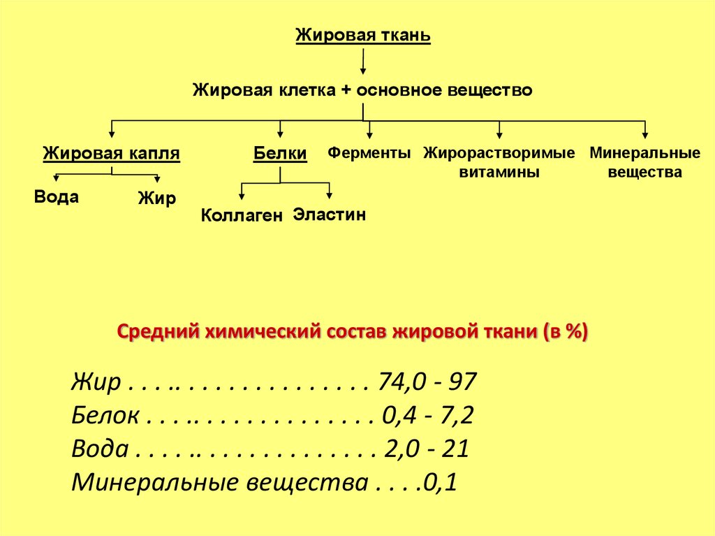 slide-1.jpg