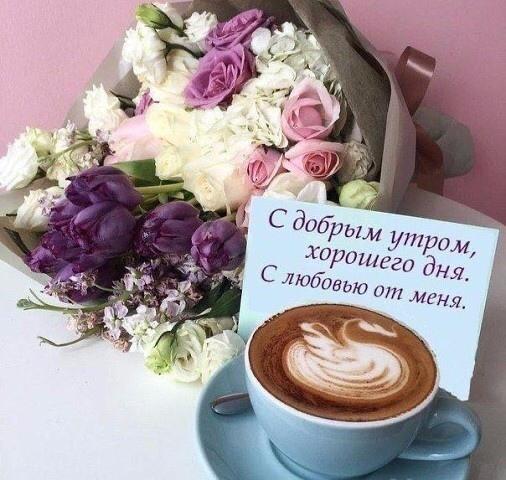 949DE349-67AE-4054-BD6E-3C2366226F36.jpeg