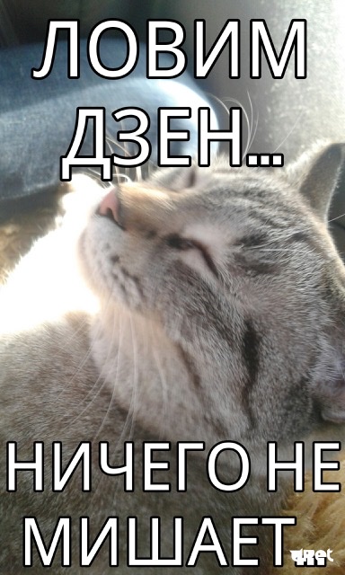 D4AE858E-0109-4F15-BA24-C151CC9A9396.jpeg