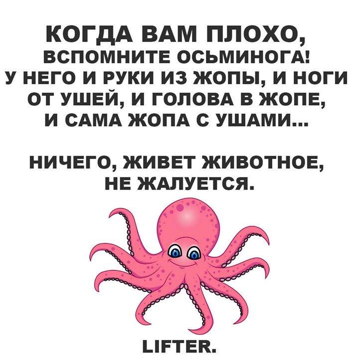 4438B5B4-0838-496D-A65E-9FDFE4450EBE.jpeg