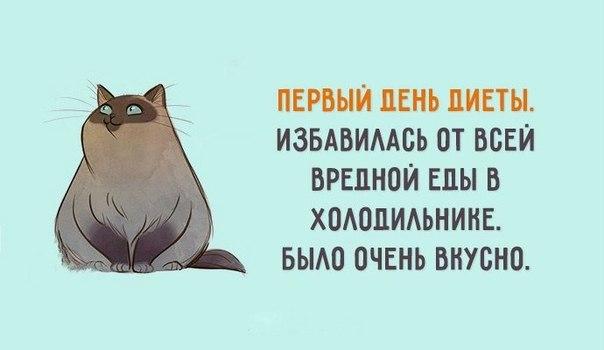 диета.jpg