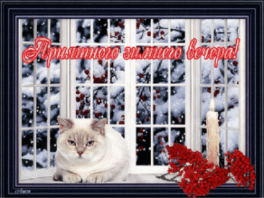 прятного зимнего вечера.gif