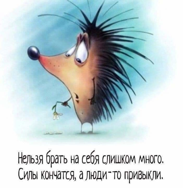 сила.jpg