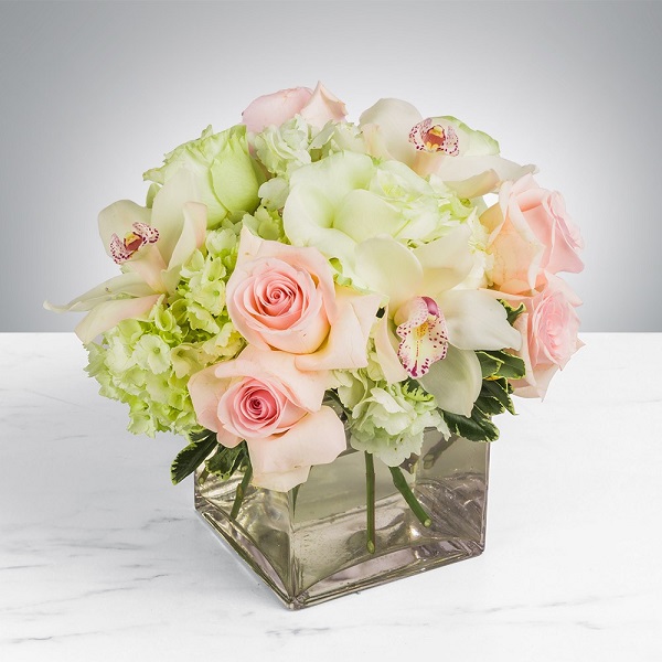 blumen.jpg