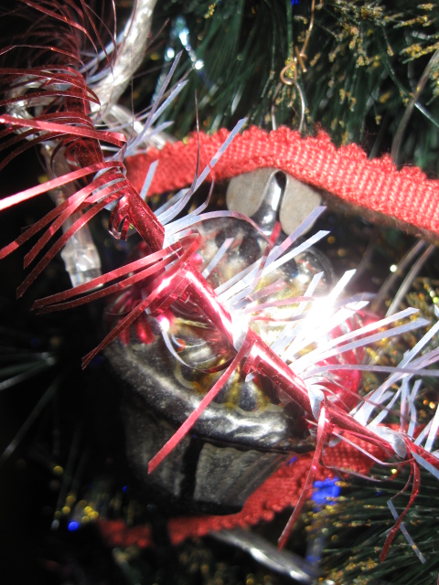 IMG_5457.JPG