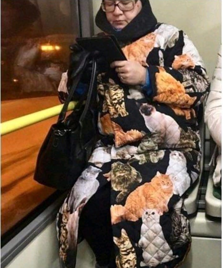 кот.jpg