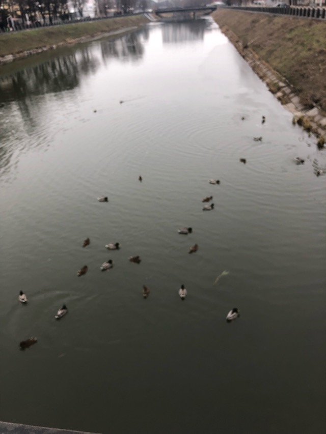 D6C7751F-67D3-49F1-947B-5BF090660C35.jpeg