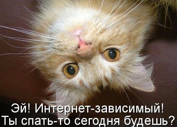 и.з..jpg
