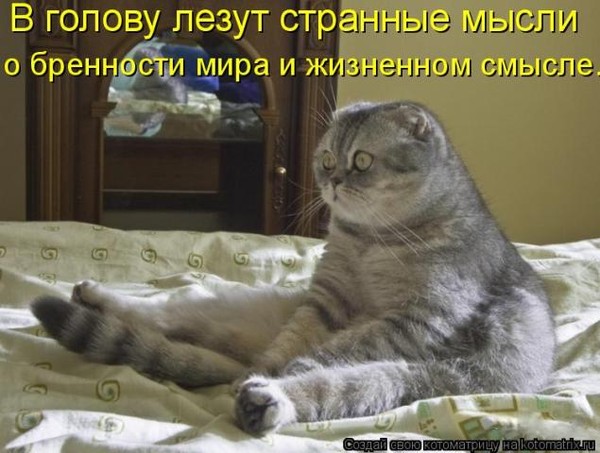 be3e5f108b4a.jpg