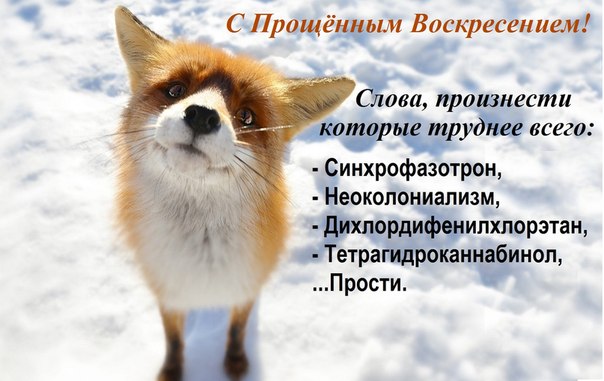 с Прощённыим Воскр....jpg