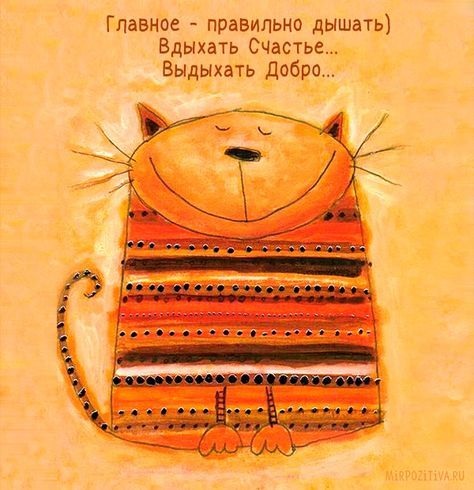 Без названия.jpg