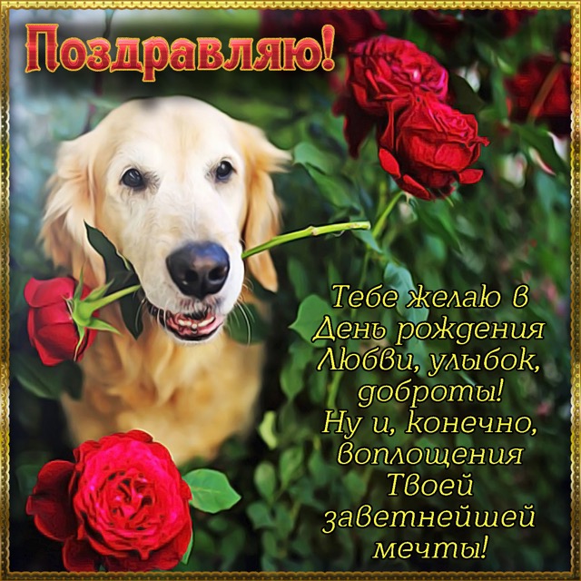 DB0F3192-6ADE-4AB1-AF8F-FE45357AD7B3.jpeg