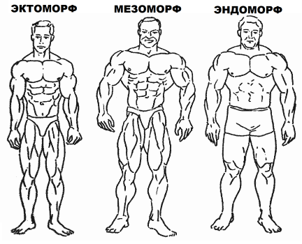 типы-телосложения-мужчин.png