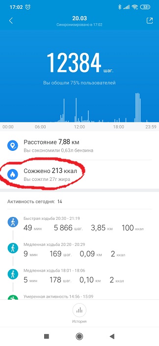 фа6.jpg