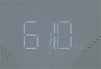 61.jpg