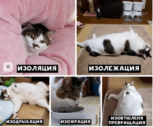Снимок.PNG