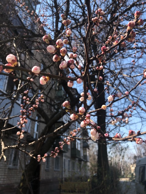 CE724596-C31B-4B00-A766-22B6B5B534D9.jpeg