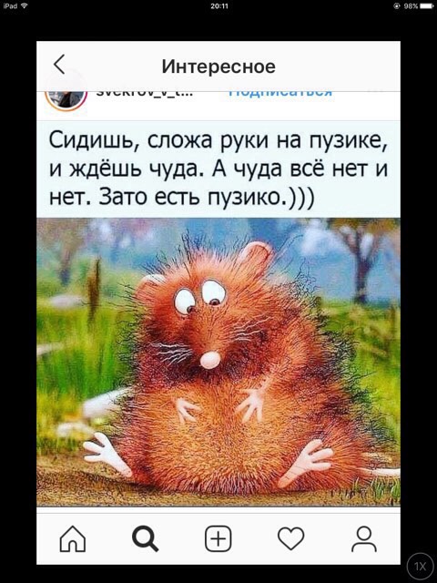 image.jpeg
