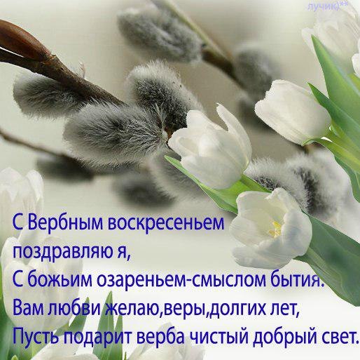 2020-04-12-09-34-07.jpg
