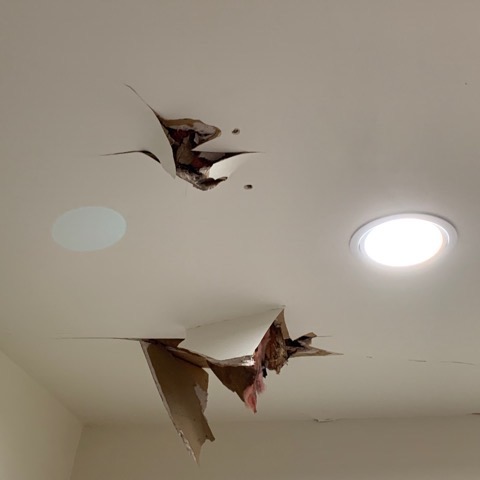 3302E695-1312-4E6B-AB21-1D2C74FADC13.jpeg