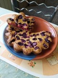 IMG_20200415_163636.jpg