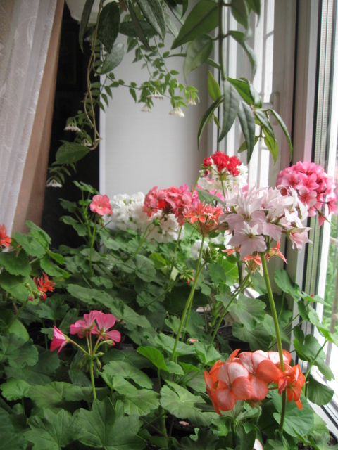 IMG_5758.JPG