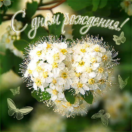 с днём рожден..jpg