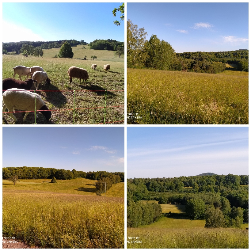 CollageMaker_20200531_105203103_resize_77.jpg