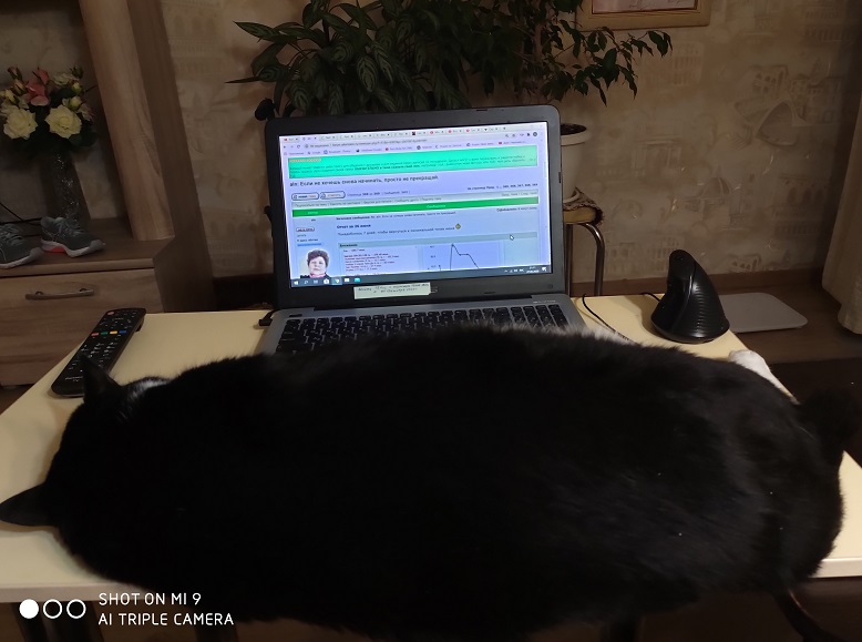 явился.jpg
