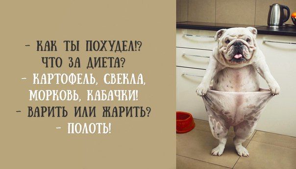 4be5a8082a773351fd472648b9d27c2e.jpg