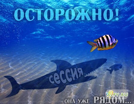 x_1b3396a3.jpg
