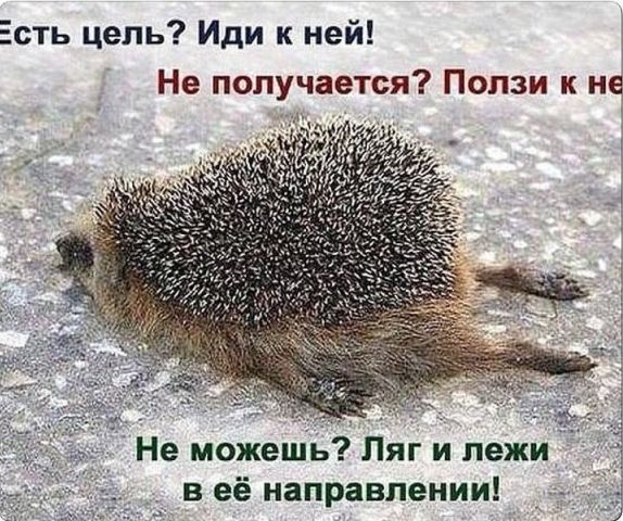цель.jpg
