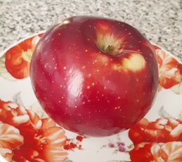 20200923_211941.jpg