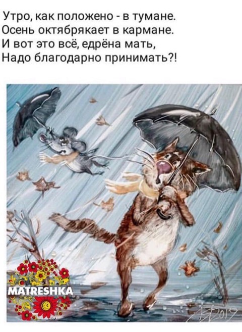 7939EE40-239C-41E1-889A-F229E8991B8C.jpeg