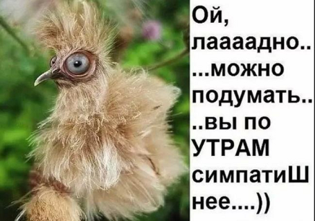 утро1.png