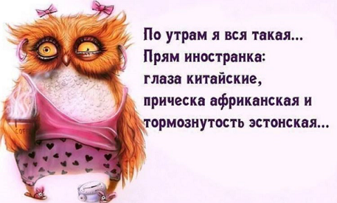 сова1.png