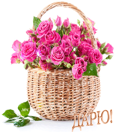 дарю.gif